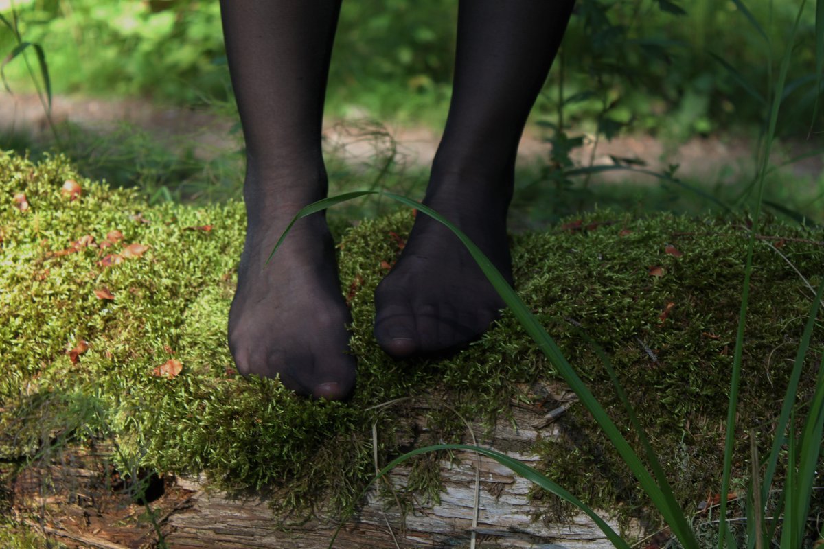 Feet in sheer black pantyhose standing on mossy wood in a forest